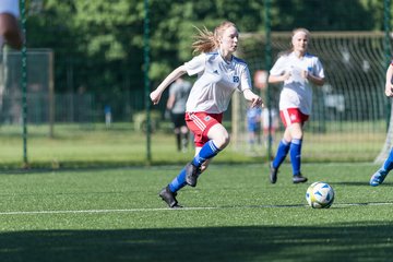 Bild 155 - wCJ Hamburger SV - VfL Pinneberg : Ergebnis: 9:0
